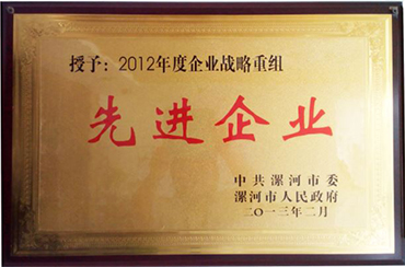 Advanced Enterprise of 2012 Strategic Reorganization of Luohe City